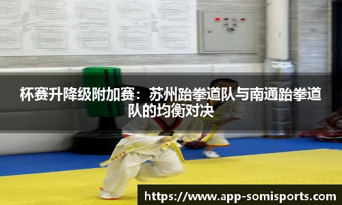 so米体育官方网站